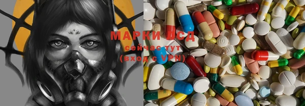 стаф Чердынь