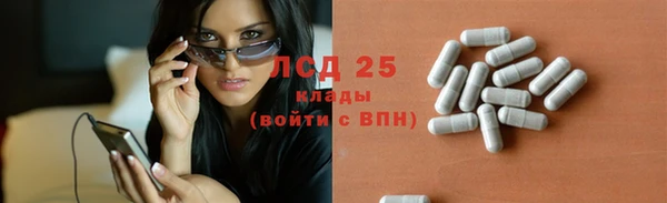 стаф Чердынь