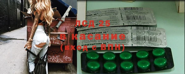 стаф Чердынь