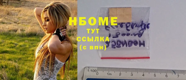 стаф Чекалин