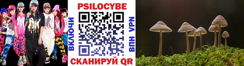 Псилоцибиновые грибы мицелий  Купить закладки  Перевоз 